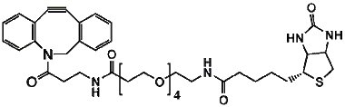 cplabsafety-320260712111741952448
