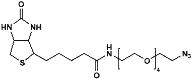 cplabsafety-320260712115457956510