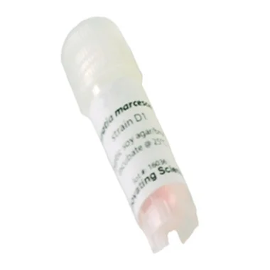 cplabsafety-320260712150537976906
