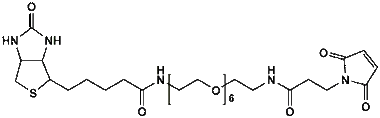 cplabsafety-320260712183643997755