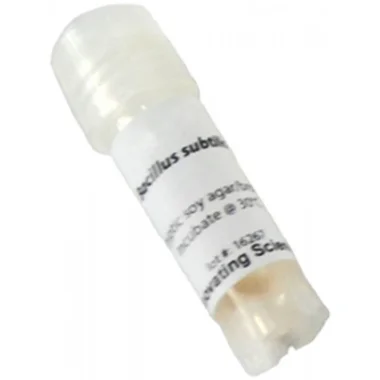 cplabsafety-3202607122021151008845