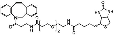 cplabsafety-3202607122221541022378