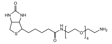 cplabsafety-3202607122339421031110