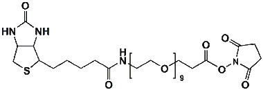 cplabsafety-3202607122351251032455