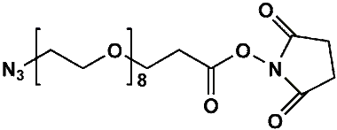 cplabsafety-3202607130006361034073