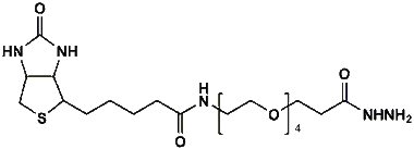cplabsafety-3202607130136341042720