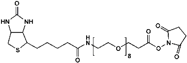 cplabsafety-3202607130231501046695