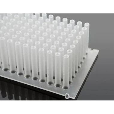 cplabsafety-3202607130700591064751