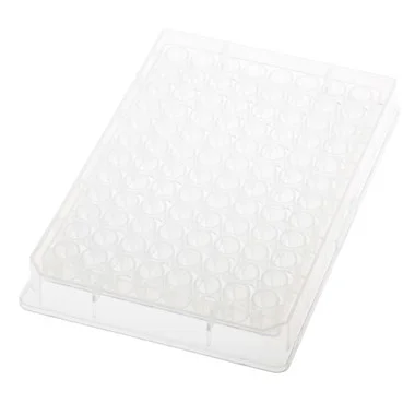 cplabsafety-3202607130702321064833
