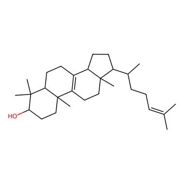 cplabsafety-3202607130718071065762