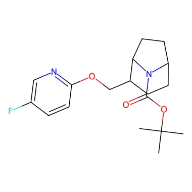 cplabsafety-3202607130751261067703