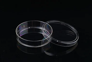 cplabsafety-3202607130809161068946