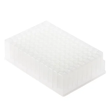 cplabsafety-3202607130949501075620