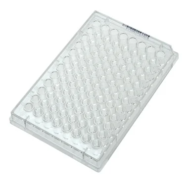 cplabsafety-3202607130959431076292