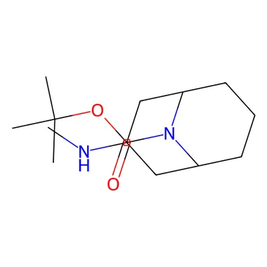 cplabsafety-3202607131035161077803