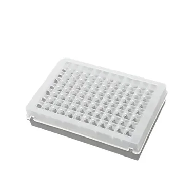 cplabsafety-3202607131035421077848