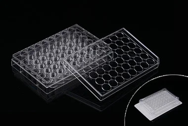 cplabsafety-3202607131042111078535
