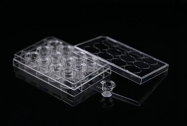 cplabsafety-3202607131045041078827