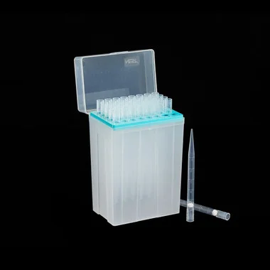 cplabsafety-3202607131045201078850