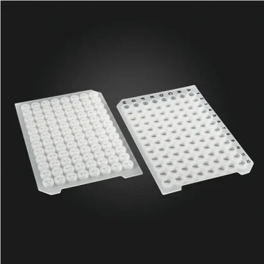 cplabsafety-3202607131057481080128