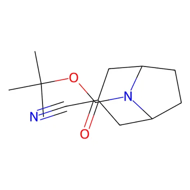 cplabsafety-3202607131100191080382