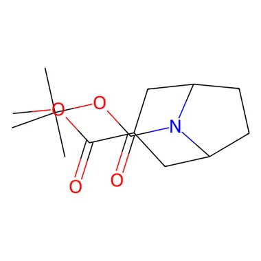 cplabsafety-3202607131111051081482