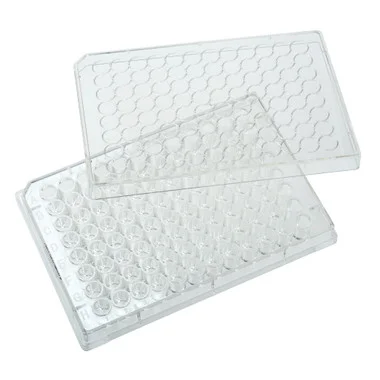 cplabsafety-3202607131112121081603