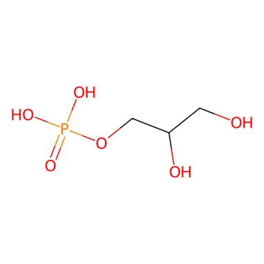 cplabsafety-3202607131121271082521