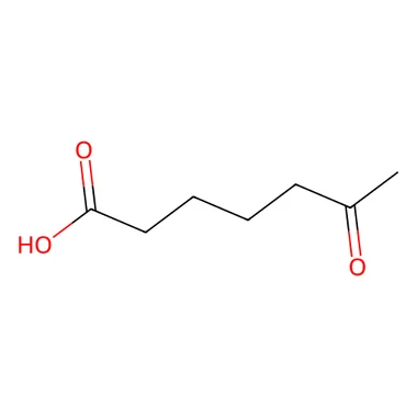 cplabsafety-3202607131137081084122