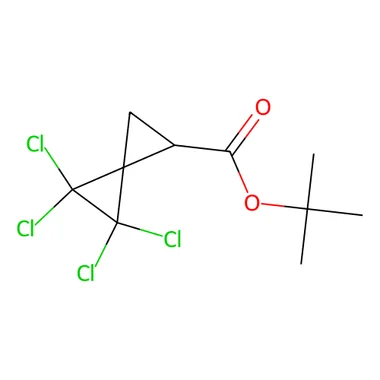 cplabsafety-3202607131146541085134