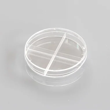 cplabsafety-3202607131153551085702