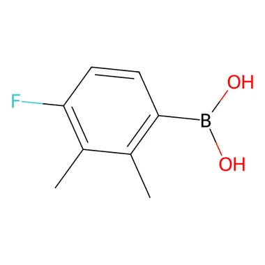 cplabsafety-3202607131209571087062