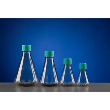 cplabsafety-3202607131219251087828