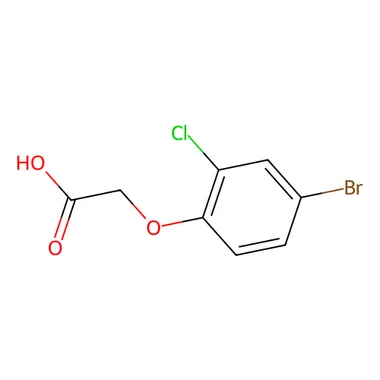 cplabsafety-3202607131246431090030