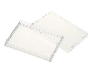 cplabsafety-3202607131250461090326