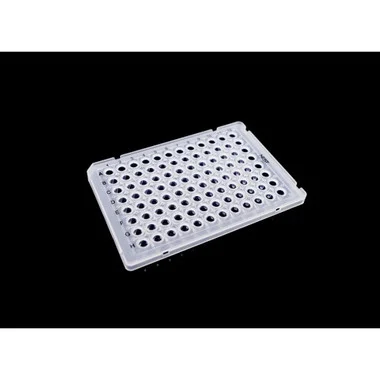 cplabsafety-3202607131255101090704
