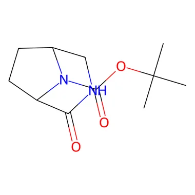cplabsafety-3202607131256261090812