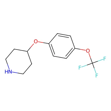 cplabsafety-3202607131321231092744