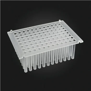 cplabsafety-3202607131322081092802