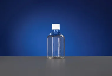 cplabsafety-3202607131413011096973
