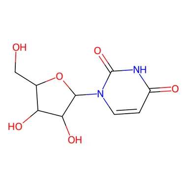 cplabsafety-3202607131424441097563