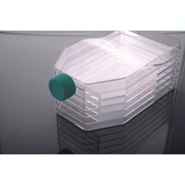 cplabsafety-3202607131451101099219