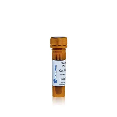 cplabsafety-3202607131452561099367