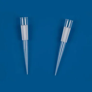 cplabsafety-3202607131454471099520