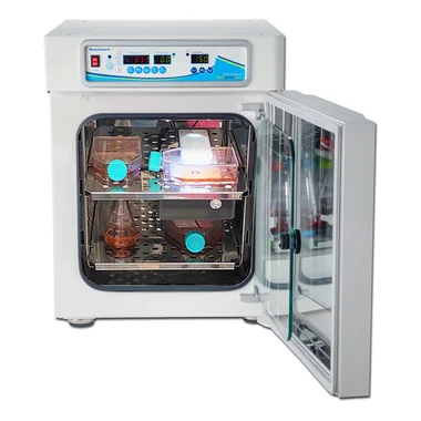 cplabsafety-3202607131455391099580
