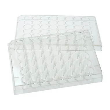 cplabsafety-3202607131457461099749