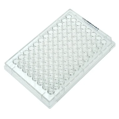 cplabsafety-3202607131458411099813