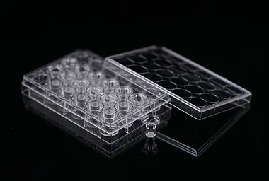 cplabsafety-3202607131507141100529