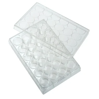 cplabsafety-3202607131538511103154