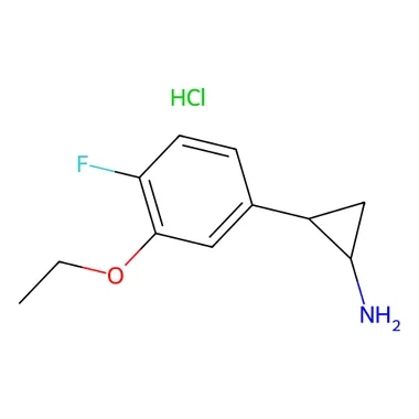 cplabsafety-3202607131613101106123